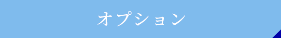 オプション